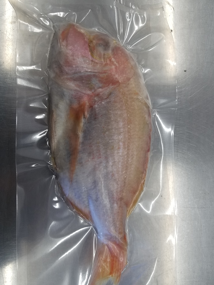 食用連子鯛パック